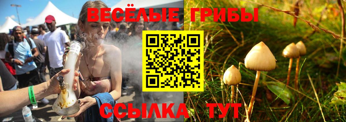 Галлюциногенные грибы Psilocybe  Псилоцибиновые грибы прущие грибы  где купить наркоту  Вход с VPN  Тихвин 